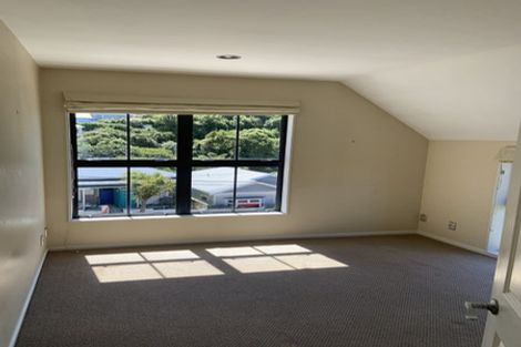 Photo of property in 51b Todman Street, Brooklyn, Wellington, 6021