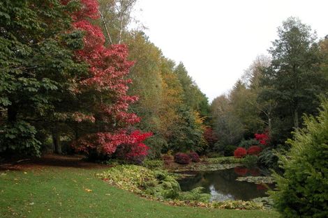 Photo of property in 38 Grammar Street, Kimbolton, 4777