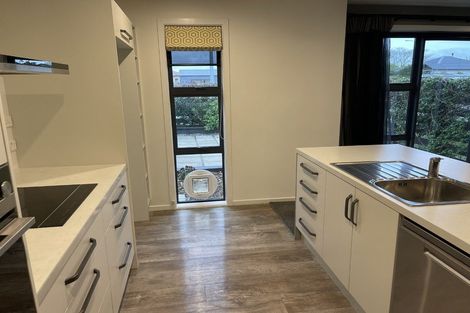 Photo of property in 170 William Street, Netherby, Ashburton, 7700