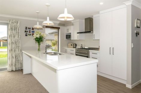 Photo of property in 7 Laird Street, Witherlea, Blenheim, 7201