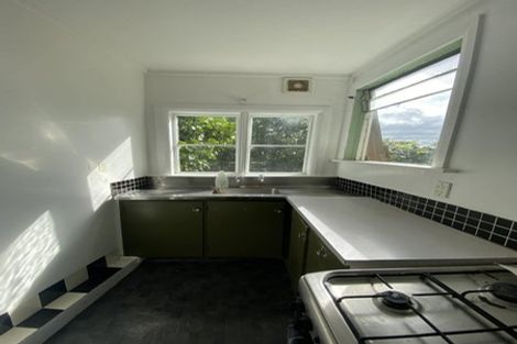 Photo of property in 59 Hankey Street, Mount Cook, Wellington, 6011