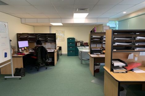 Photo of property in 8a Madeira Lane, Grafton, Auckland, 1023