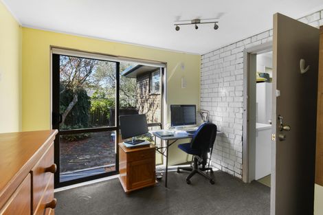 Photo of property in 44 Claude Road, Hillpark, Auckland, 2102