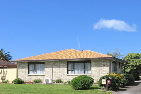 Photo of property in 44a Sunrise Avenue, Mount Maunganui, 3116