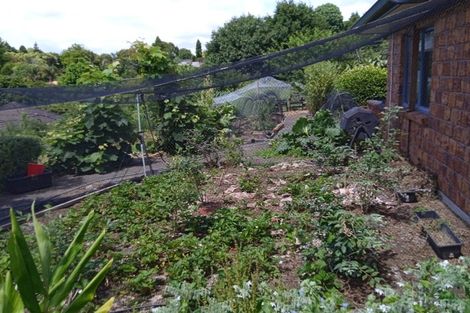 Photo of property in 42 Westview Place, Tauriko, Tauranga, 3110