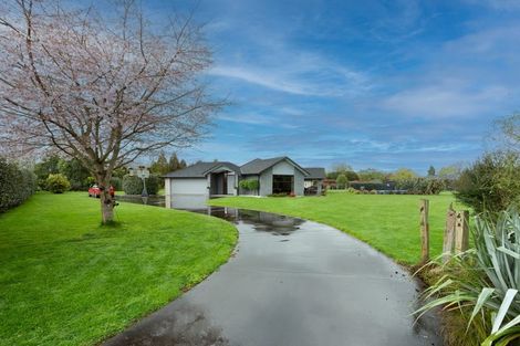 Photo of property in 10 Flora Lane, Tamahere, Hamilton, 3283