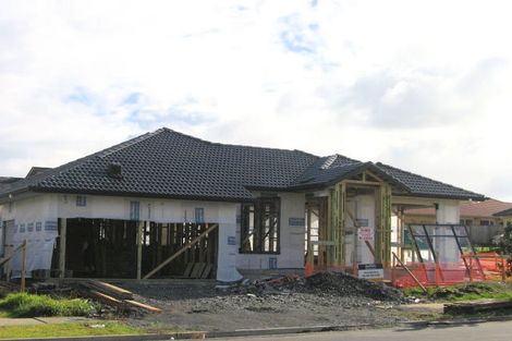 Photo of property in 101 Wayne Francis Drive, Flat Bush, Auckland, 2016