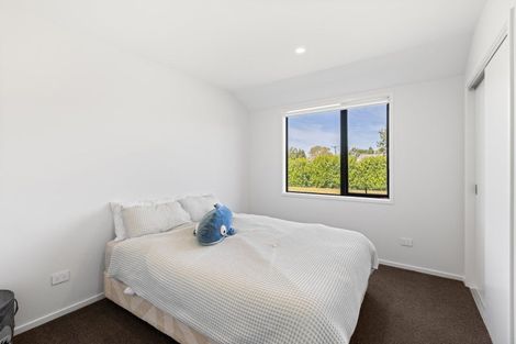 Photo of property in 5 Brook Street, Renwick, 7204