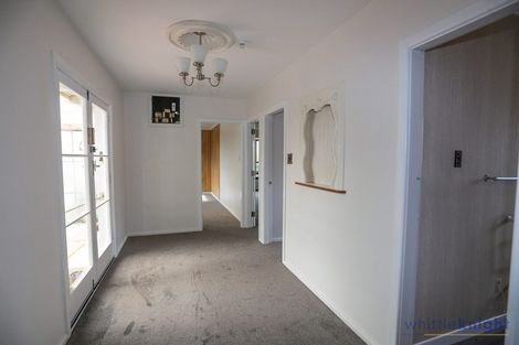 Photo of property in 223 Waimairi Road, Ilam, Christchurch, 8041