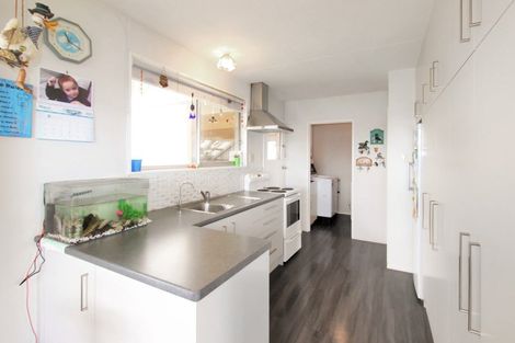 Photo of property in 17 Kiwi Street, Pahiatua, 4910