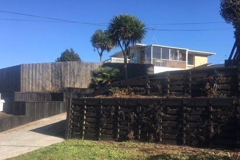 Photo of property in 20 Reservoir Street, Putaruru, 3411