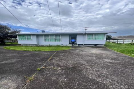 Photo of property in 17 Von Sturmer Street, Mangere East, Auckland, 2024