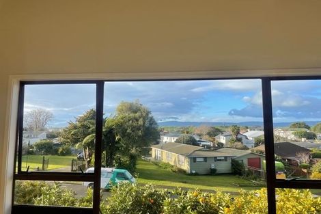 Photo of property in 18 Hillcrest Street, Tirau, 3410