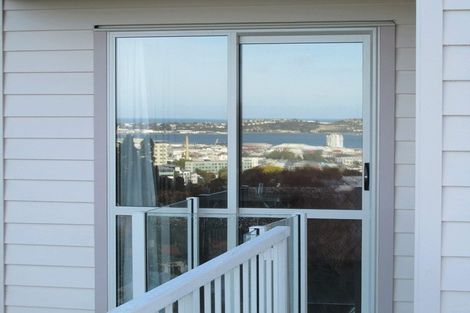 Photo of property in 20 Lachlan Avenue, North Dunedin, Dunedin, 9016