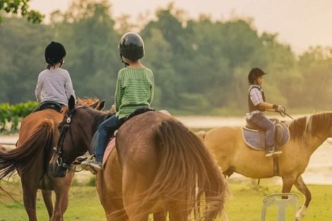 Photo of property in 150 Clevedon Road, Papakura, 2110