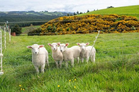 Photo of property in 164 Akatore Road, Taieri Beach, Brighton, 9091