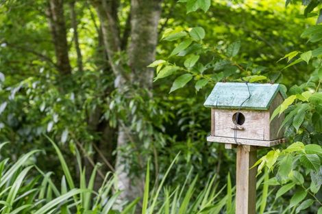 Photo of property in 69 Francis Road, Whakamarama, Tauranga, 3172