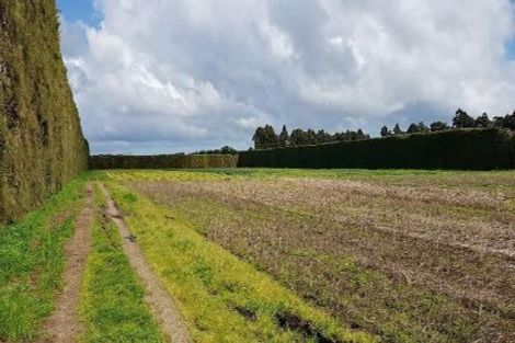 Photo of property in 328 Riverhead Road, Riverhead, 0892