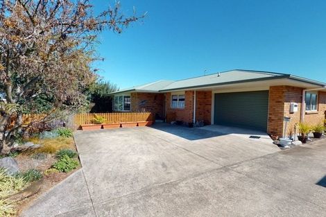 Photo of property in 20 Reeve Street, Levin, 5510