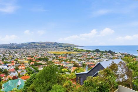 Photo of property in 53 Ravenswood Road, Saint Clair, Dunedin, 9012