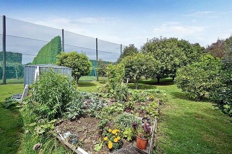 Photo of property in 3 Donelle Place, Te Puke, 3119