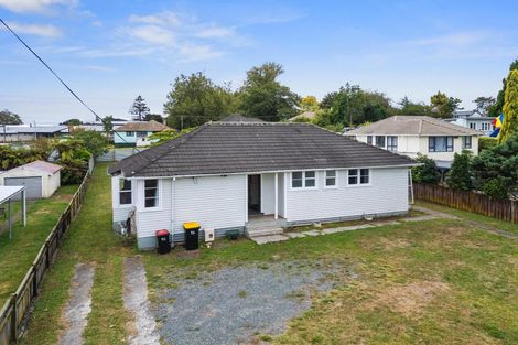 Photo of property in 4 Clothier Street, Putaruru, 3411