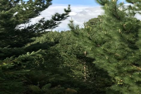 Photo of property in 487 Whangamata Road, Kinloch, Taupo, 3377