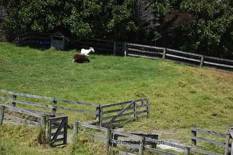 Photo of property in 1738 State Highway 12, Paparoa, 0571