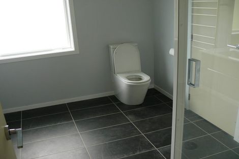 Photo of property in 270 Te Whiti Road, Homebush, Masterton, 5885