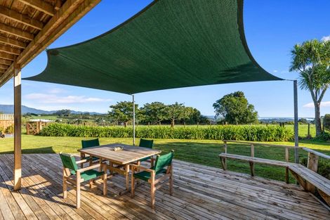 Photo of property in 342 Youngson Road, Whakamarama, Tauranga, 3179