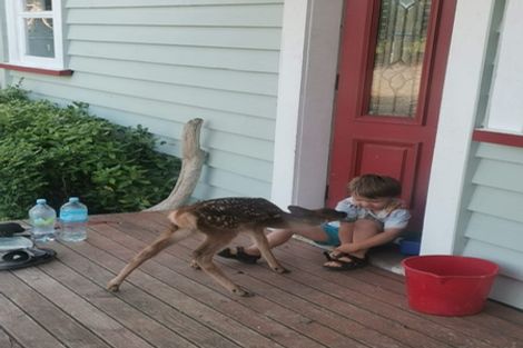 Photo of property in 338 Tyntesfield Road, Waihopai Valley, Blenheim, 7276