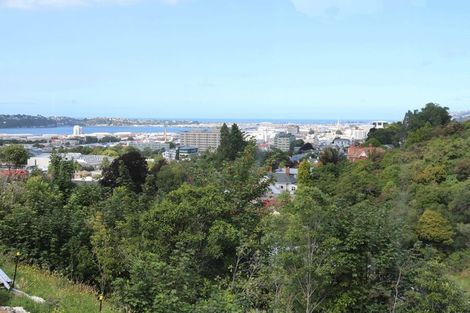 Photo of property in 20 Lachlan Avenue, North Dunedin, Dunedin, 9016