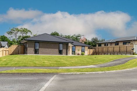 Photo of property in 1 Sudeng Street, Levin, 5510