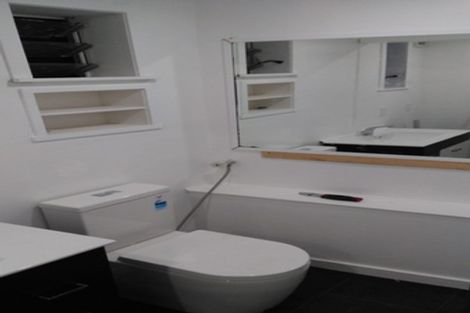 Photo of property in 61 Rolleston Street, Mount Cook, Wellington, 6021