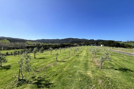 Photo of property in 367 King Road, Mangawhai, Kaiwaka, 0573