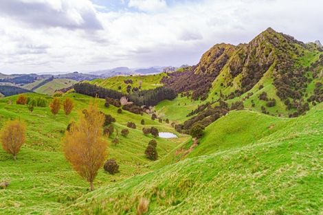 Photo of property in Castlepoint Road, Mangapakeha, Masterton, 5889