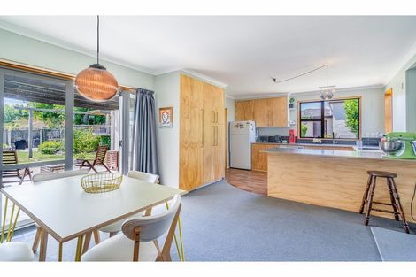 Photo of property in 17 Fastnet Street, Alexandra, 9320