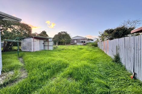 Photo of property in 55b Arawa Street, New Lynn, Auckland, 0600