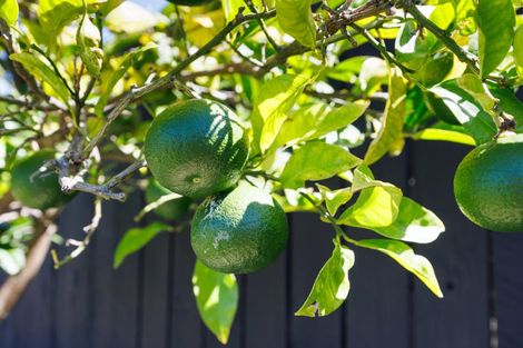 Photo of property in 92 Parnell Heights, Kelvin Grove, Palmerston North, 4414