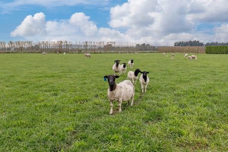 Photo of property in 814 Halkett Road, West Melton, Christchurch, 7671