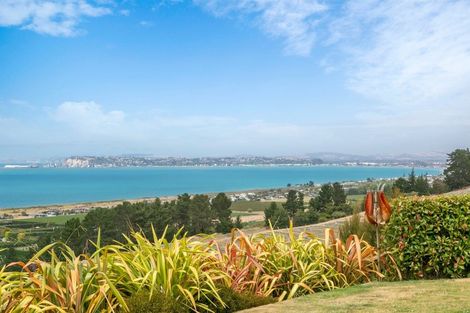 Photo of property in 761 Main North Road, Bay View, Napier, 4182