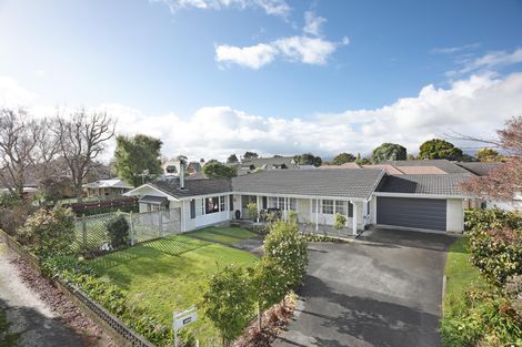 Photo of property in 409 Ruahine Street, Terrace End, Palmerston North, 4410