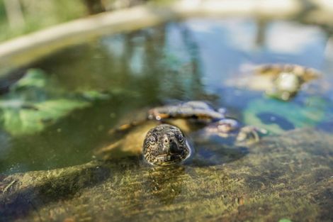 Photo of property in 218 Cowell Street, Kawhia, 3889