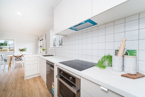 Photo of property in 49 Pitama Road, Awapuni, Palmerston North, 4412