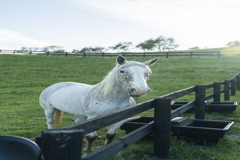 Photo of property in 54b Harambee Road, Taiharuru, Parua Bay, 0192