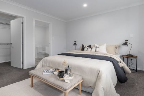 Photo of property in 79 Hinemoa Street, Levin, 5510