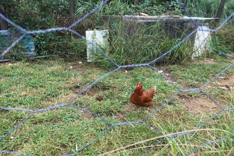 Photo of property in 1240 Manaia Road, Manaia, Coromandel, 3581