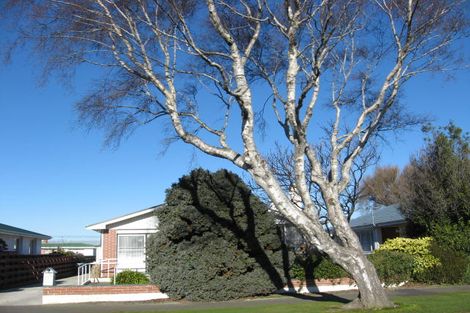 Photo of property in 115 Bourke Street, Windsor, Invercargill, 9810