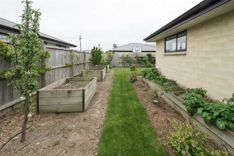 Photo of property in 11 Shearer Street, Tinwald, Ashburton, 7700