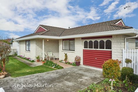 Photo of property in 30 Fitzroy Street, Terrace End, Palmerston North, 4410